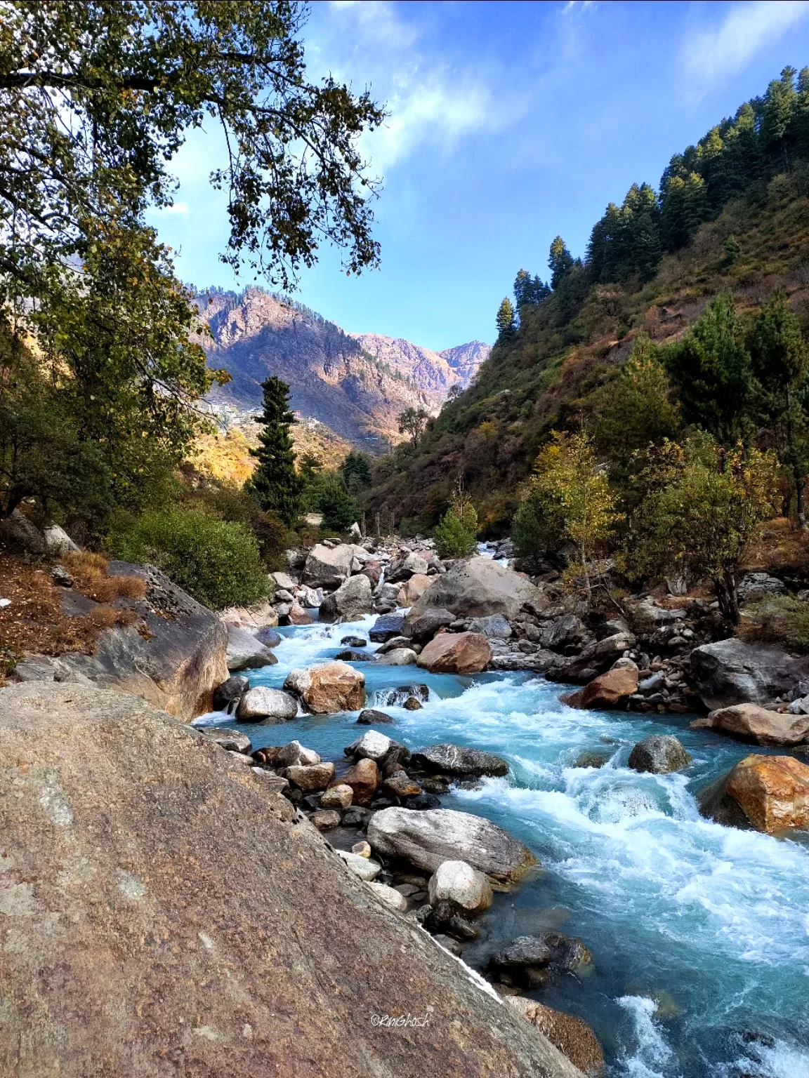 Photo of Barshaini By Rini Ghosh