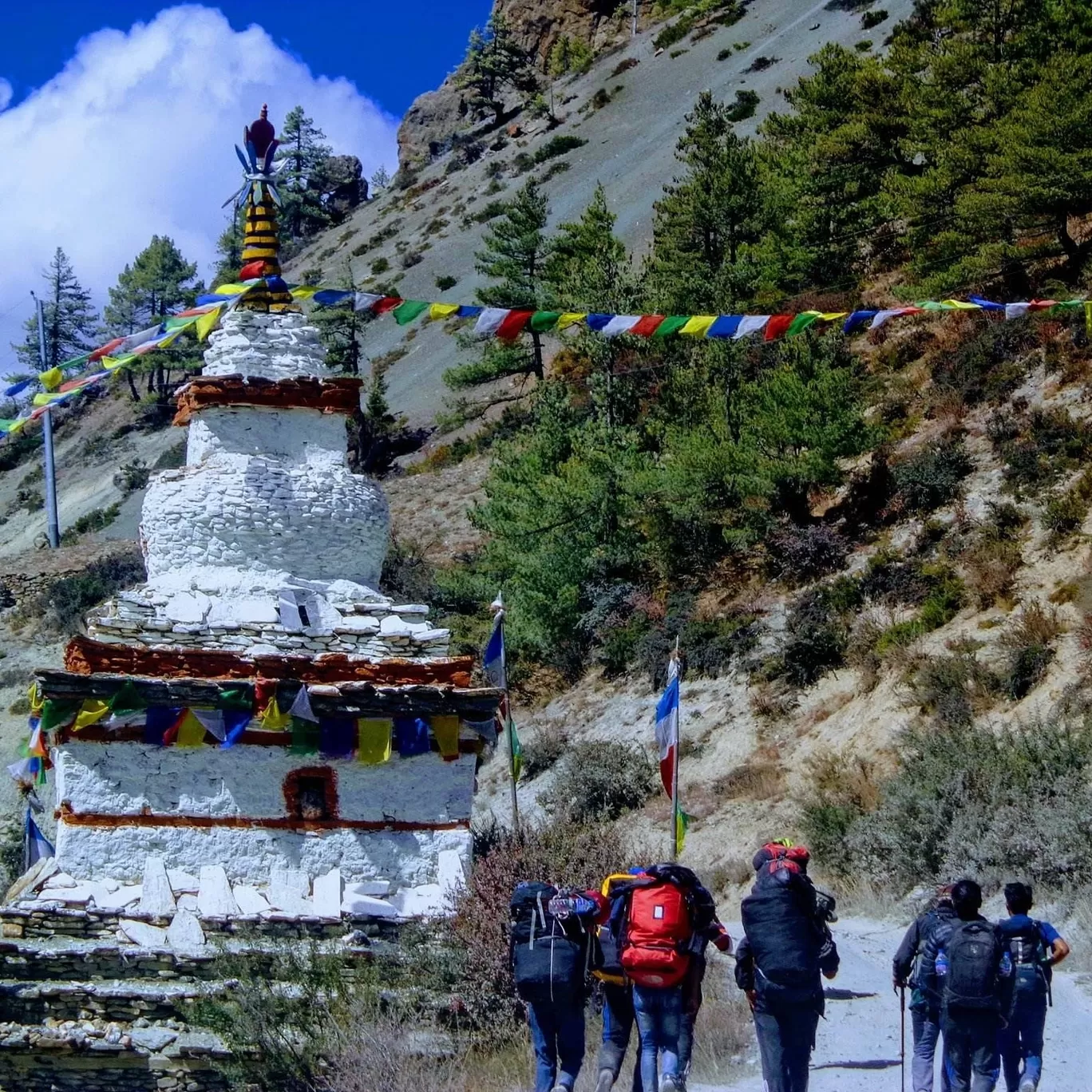 Photo of Basghari-5 By Suku Lama