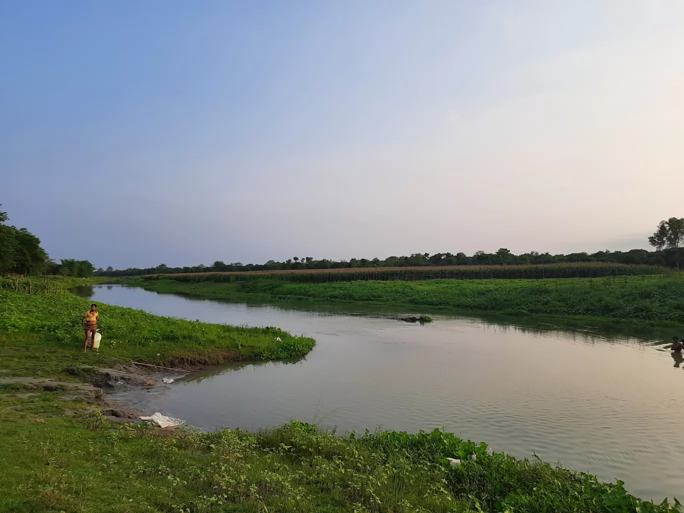 Photo of Nesta By Rohit Koiri