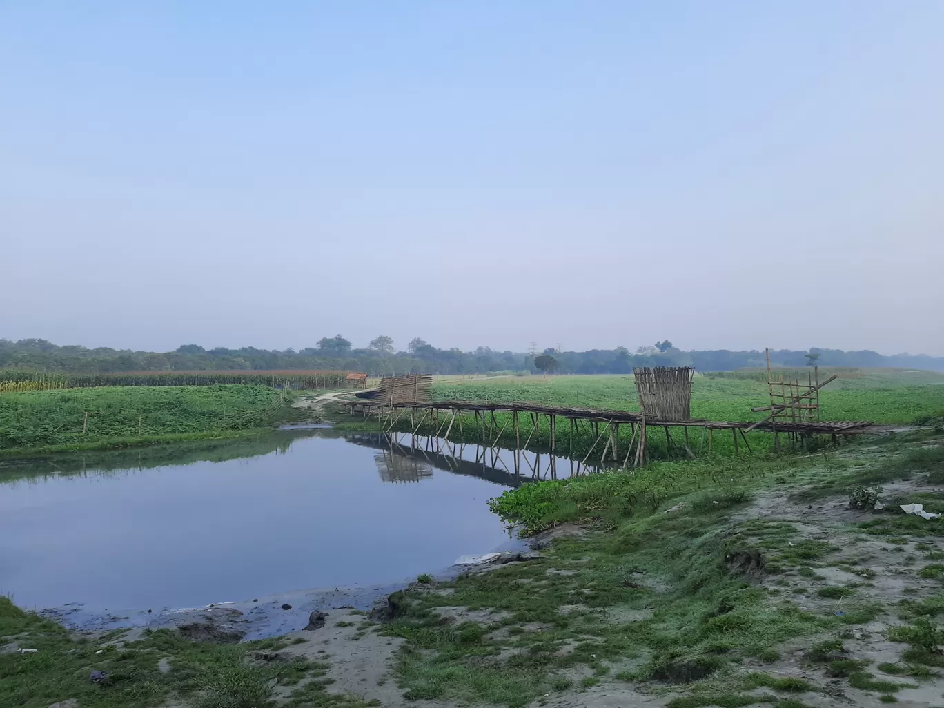 Photo of Nesta By Rohit Koiri
