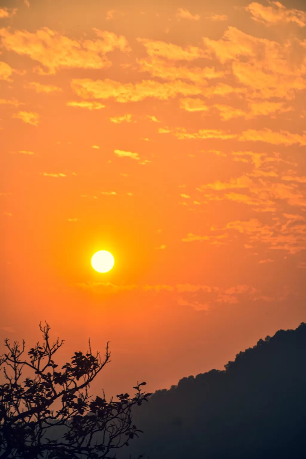 Photo of Jim Corbett National Park By Rashmi Salunke