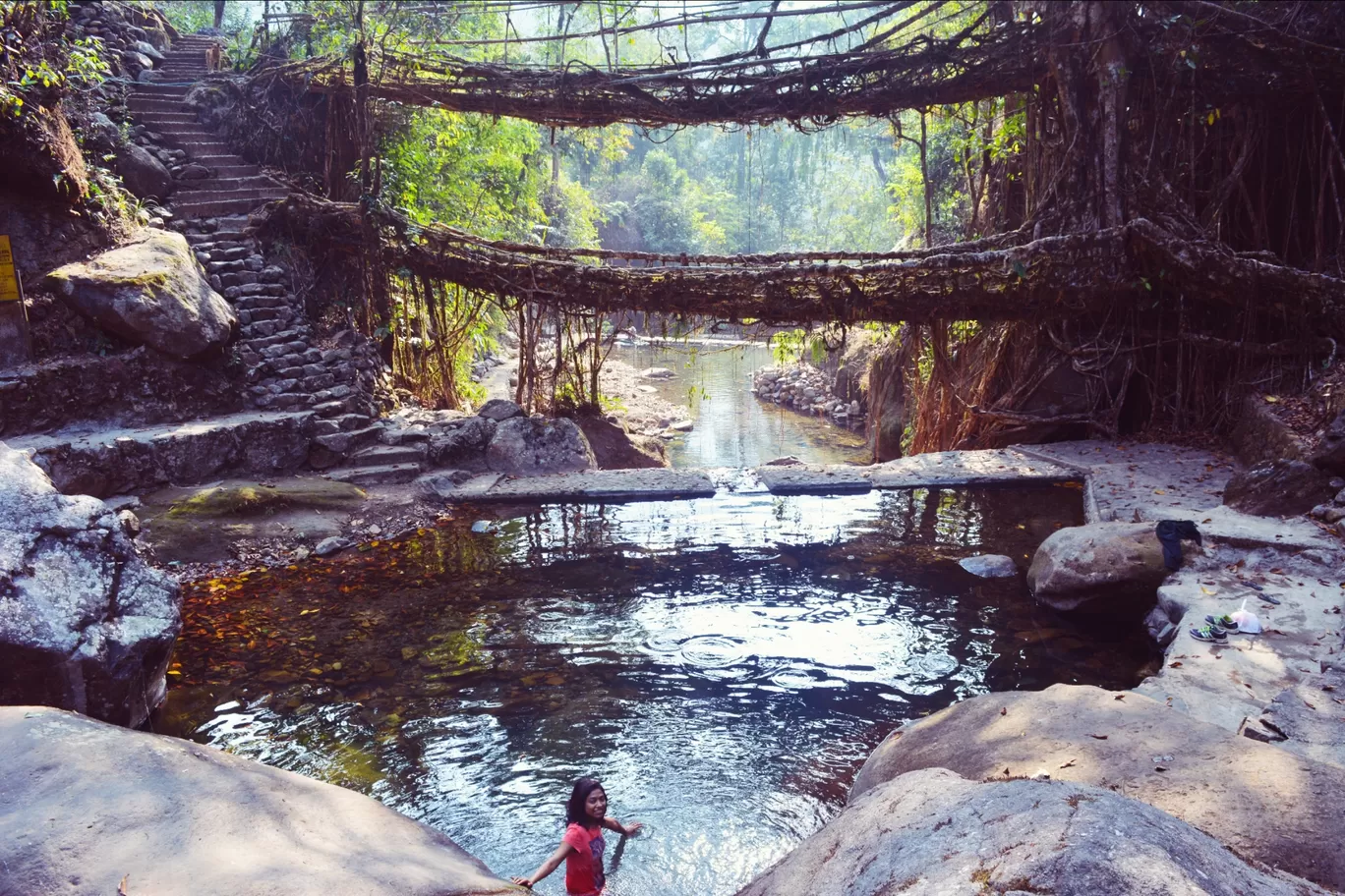 Photo of Double Decker Living Root Bridge By My trip Diaries