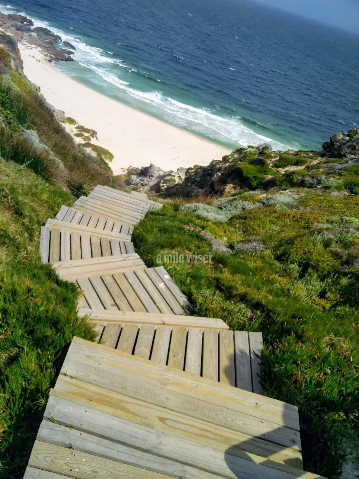 Photo of Cape of Good Hope By A mile wiser