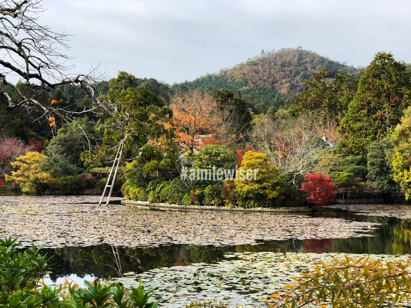 Photo of Kyoto By A mile wiser