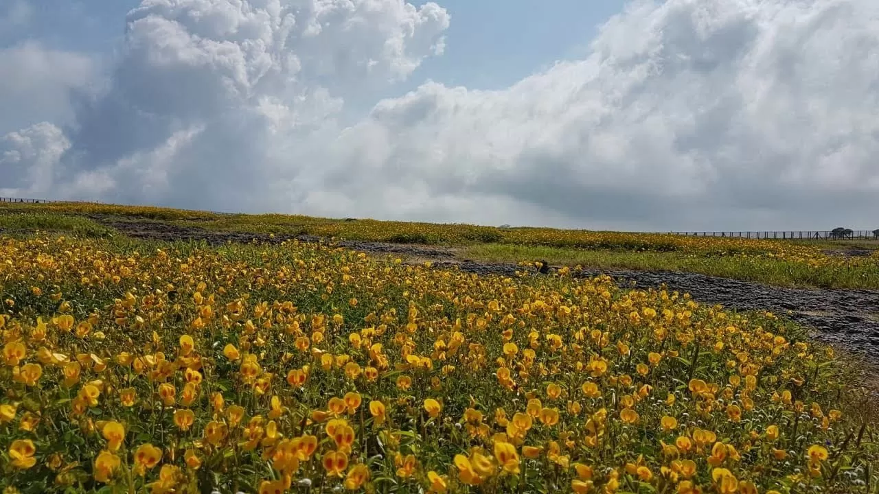 Photo of Satara By Journey 'n' Journal