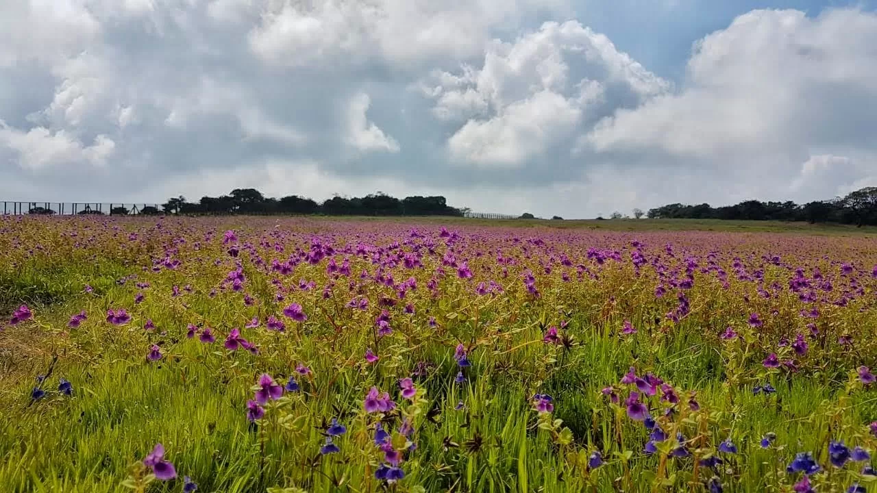 Photo of Satara By Journey 'n' Journal