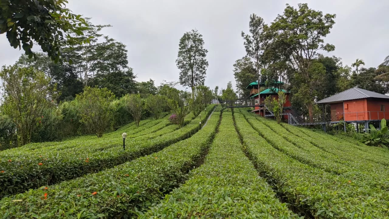 Photo of Dream Catcher Plantation Resort By Journey 'n' Journal
