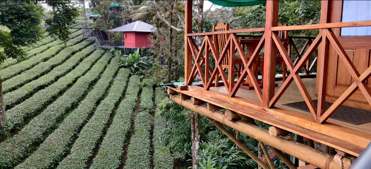 Photo of Dream Catcher Plantation Resort By Journey 'n' Journal