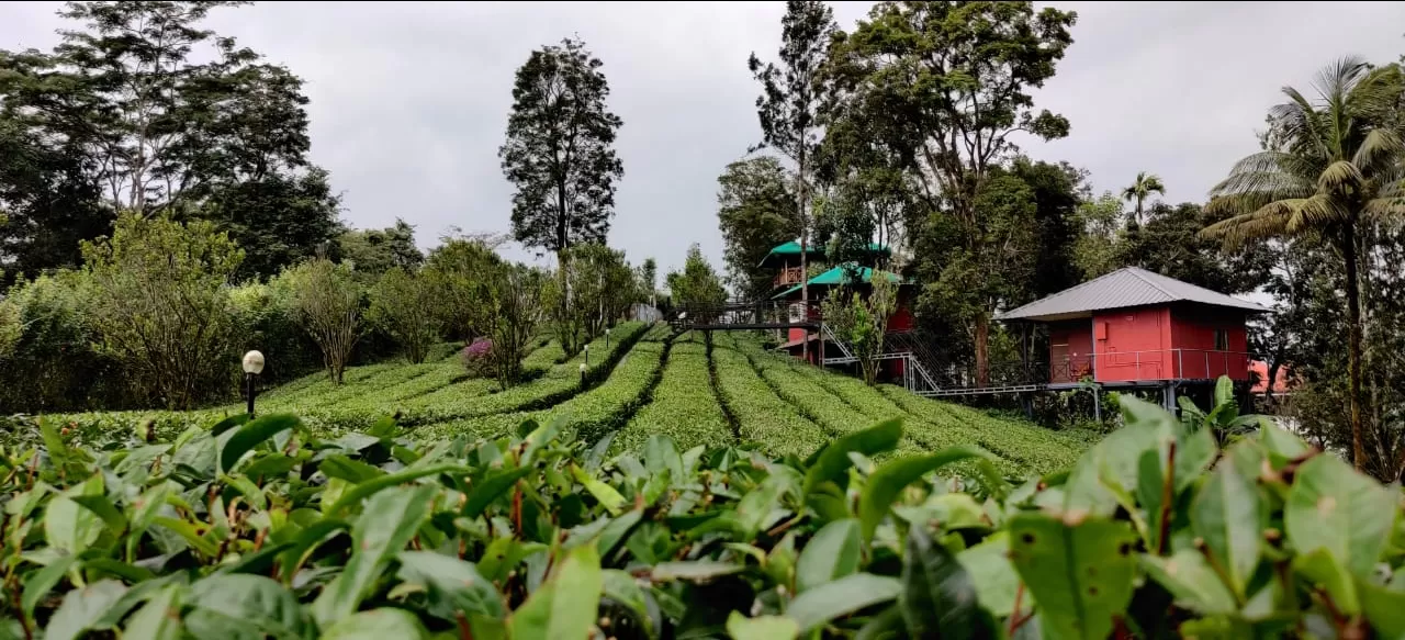 Photo of Dream Catcher Plantation Resort By Journey 'n' Journal