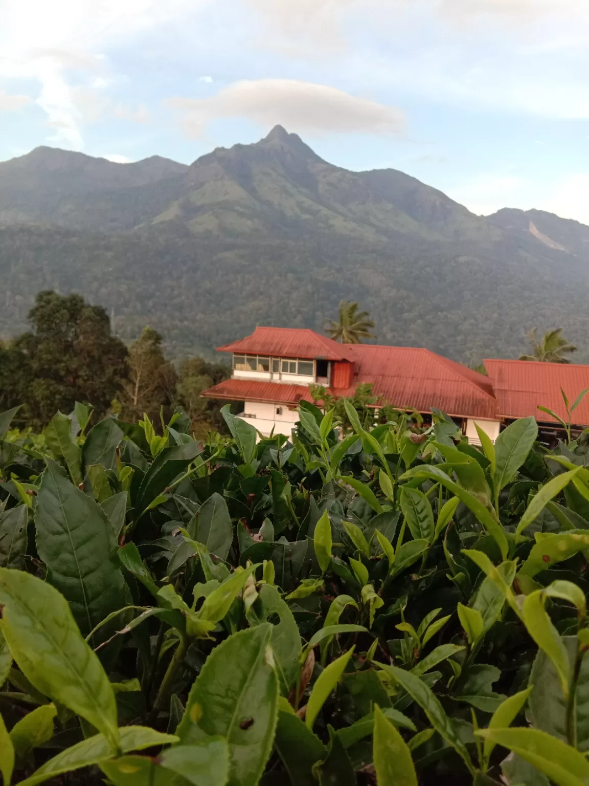 Photo of Dream Catcher Plantation Resort By Journey 'n' Journal