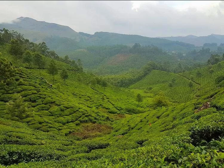 Photo of Vagamon By Journey 'n' Journal