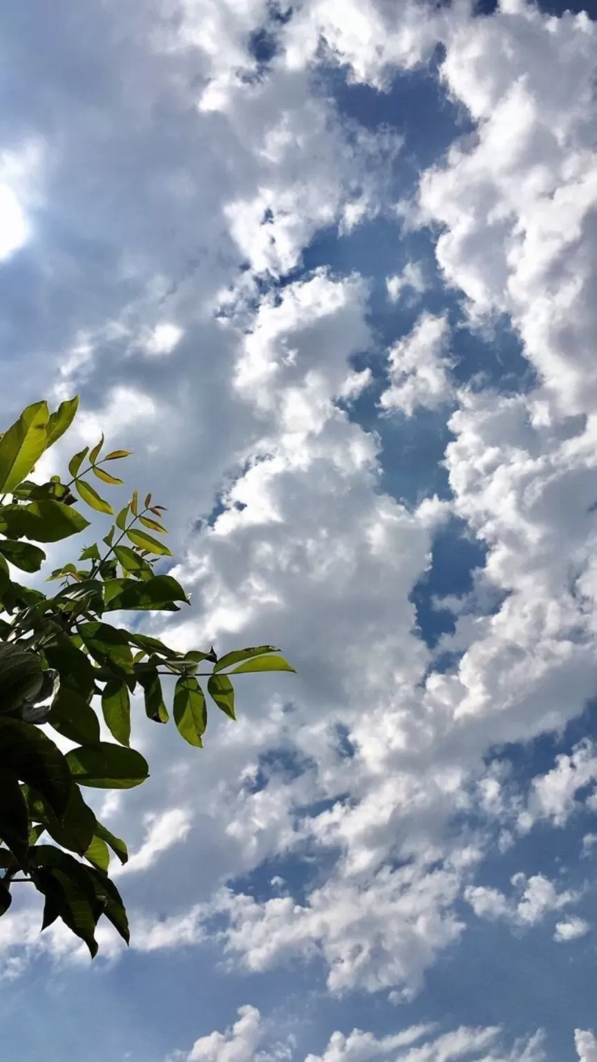 Photo of Bangalore By Srishti (still.winds)