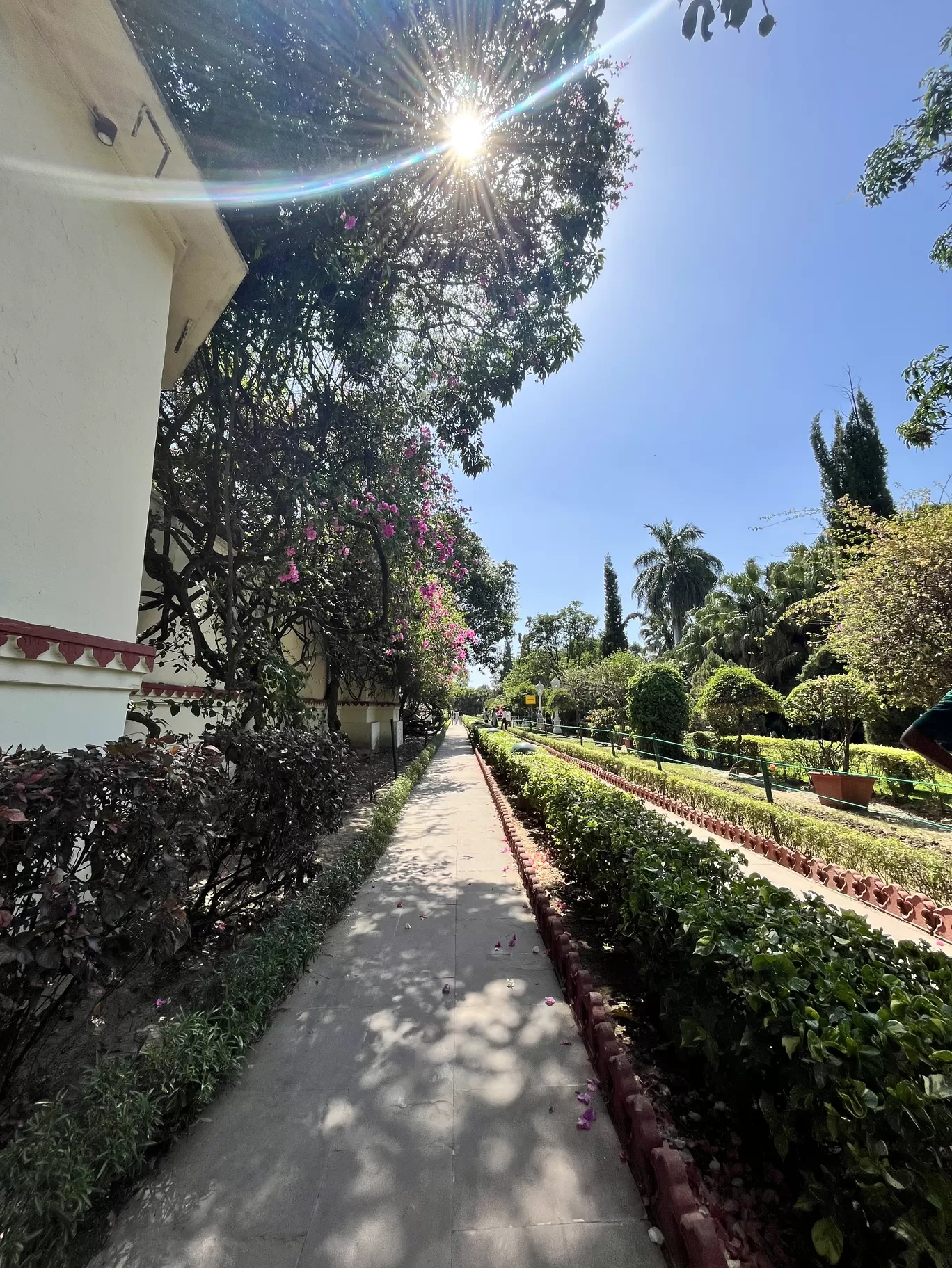 Photo of India By Srishti (still.winds)
