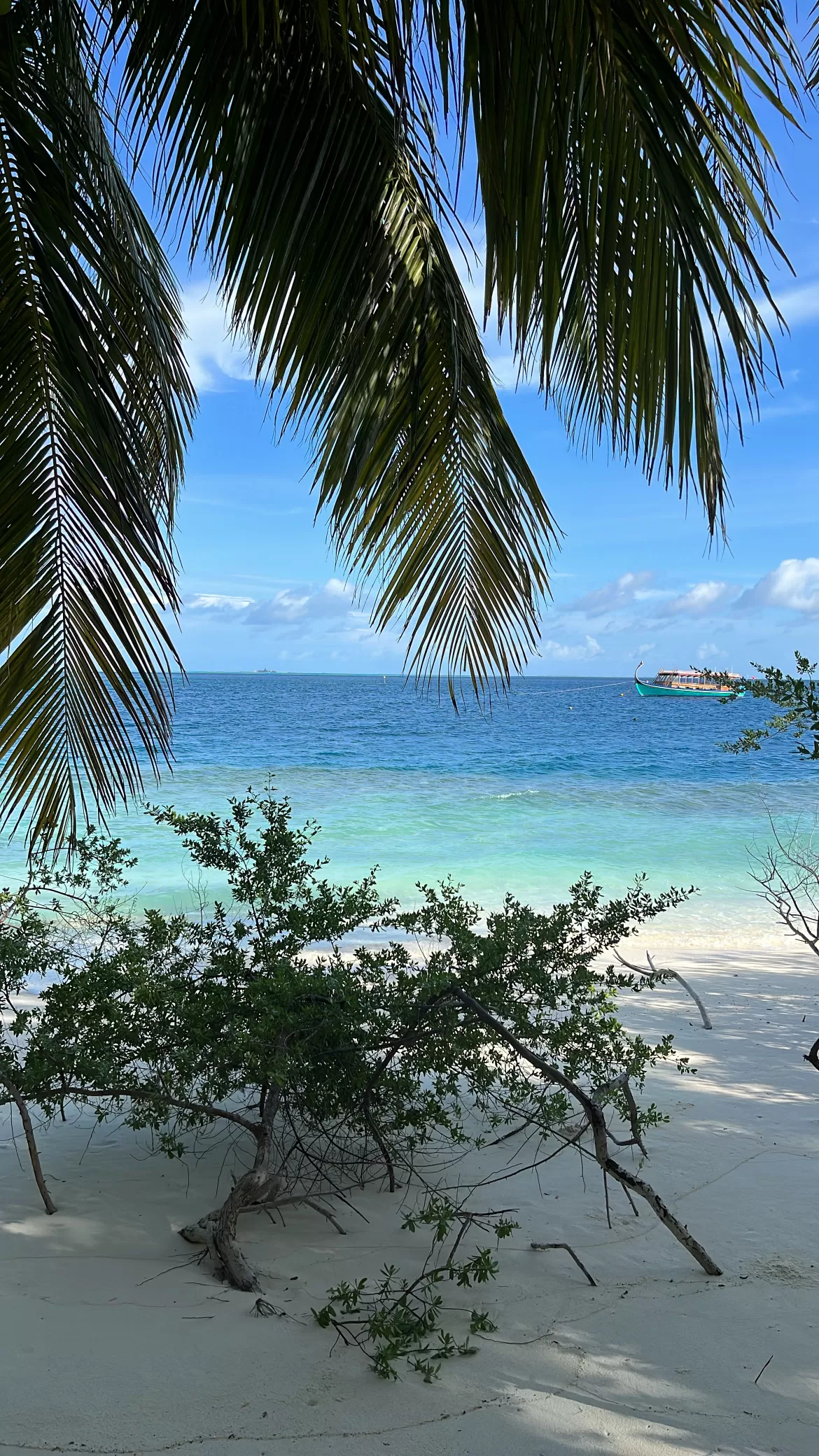 Photo of Asia By Srishti (still.winds)
