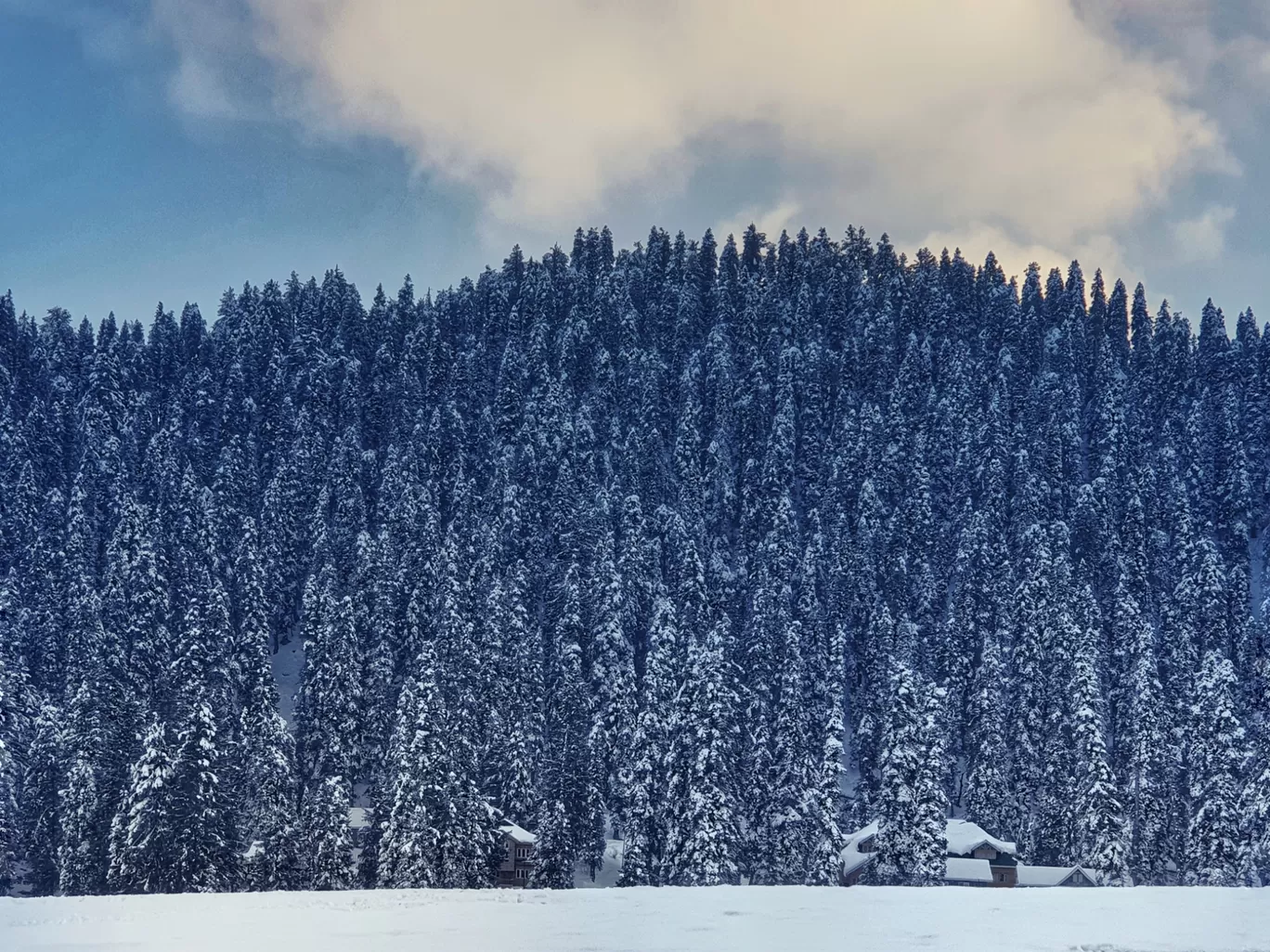 Photo of Gulmarg Tourist Destination By Saahil Ayub