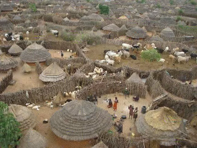 Photo of Africa Adventure Vacations | African Safaris | Gorilla Tours By ashirafkiberu