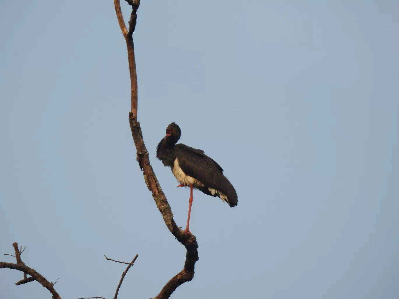 Photo of Kanha Kisli National Park By Jyotin Prachand