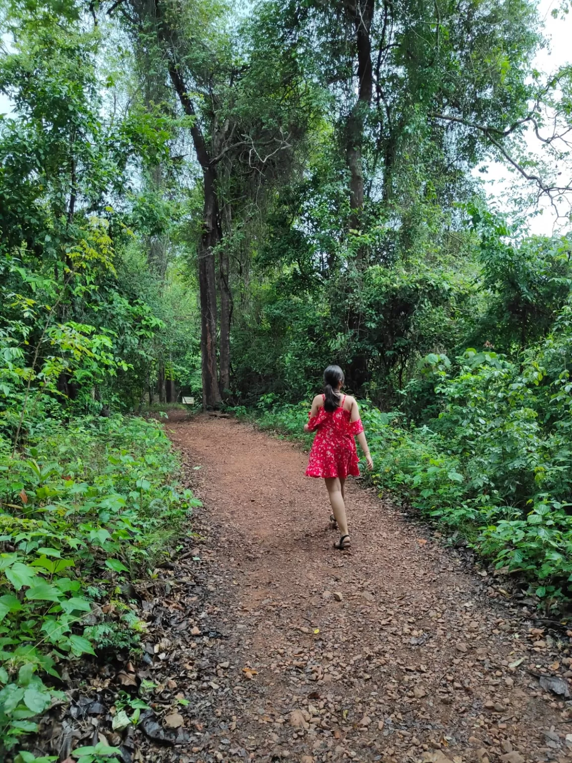 Photo of Goa By Simran Singh