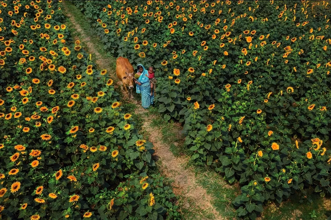 Photo of Namkhana By Shibasish Saha