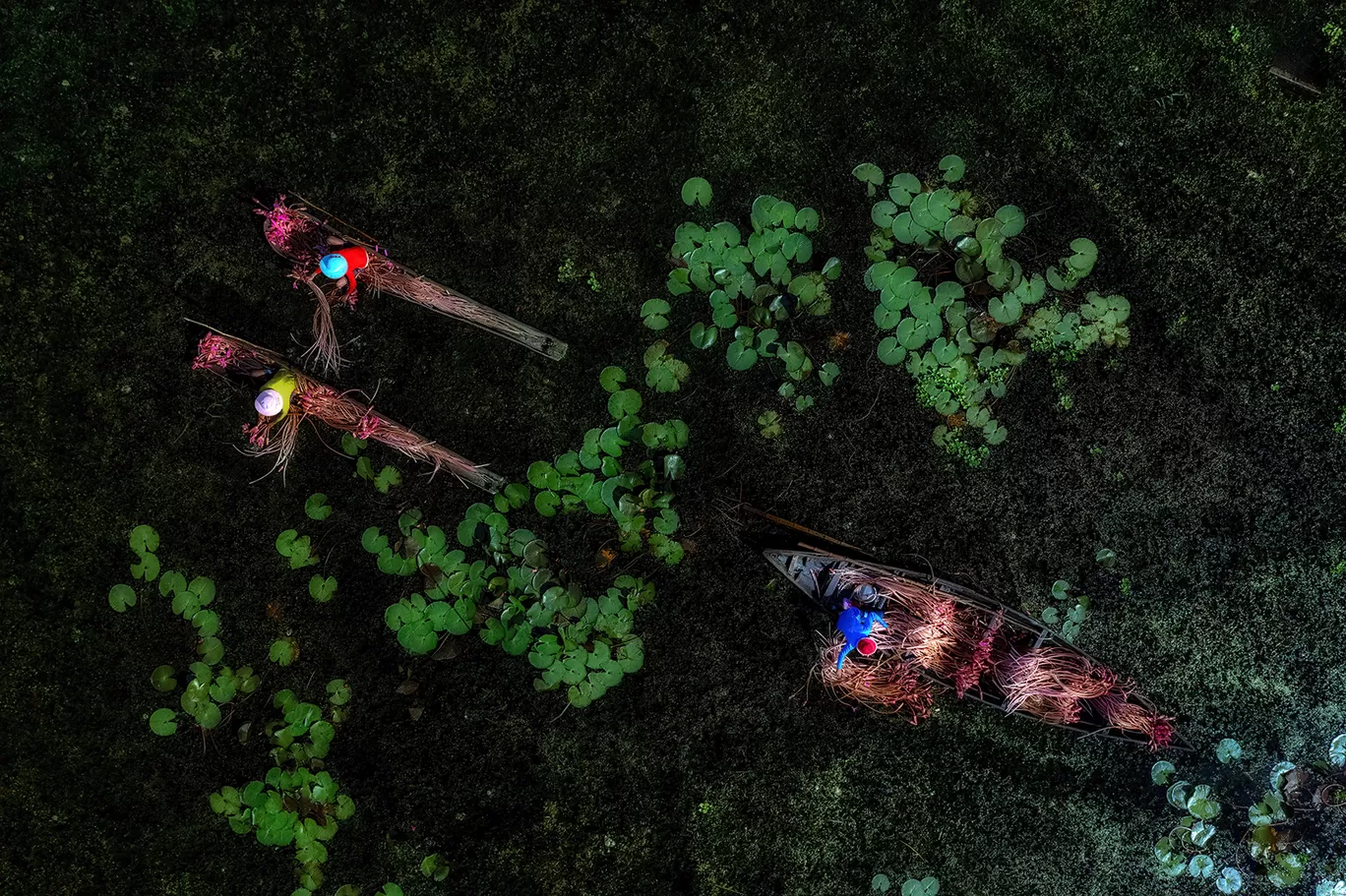 Photo of Burdwan By Shibasish Saha