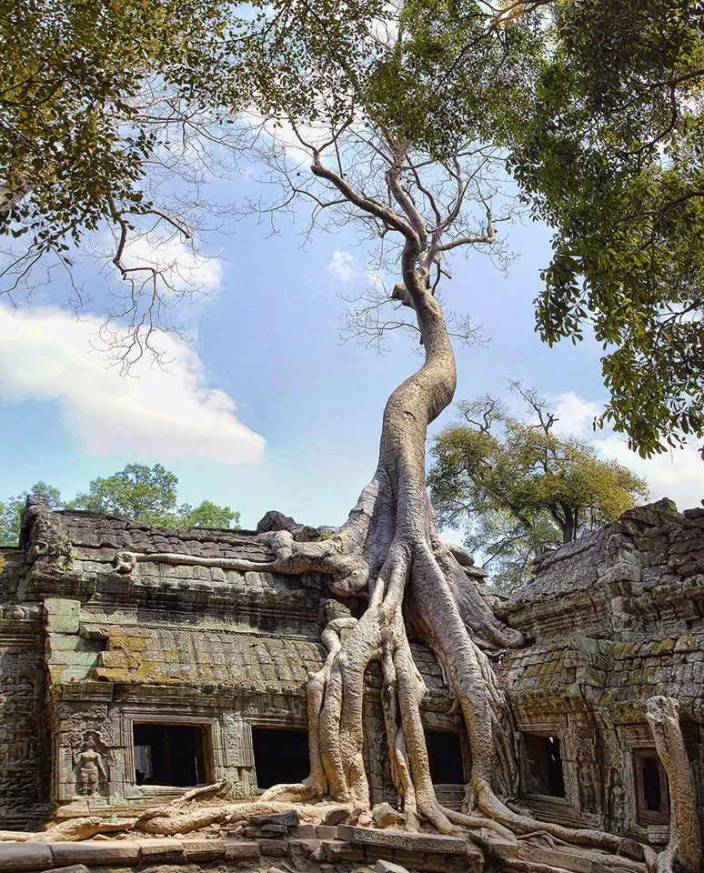 Photo of Cambodia By Triple K Angkor