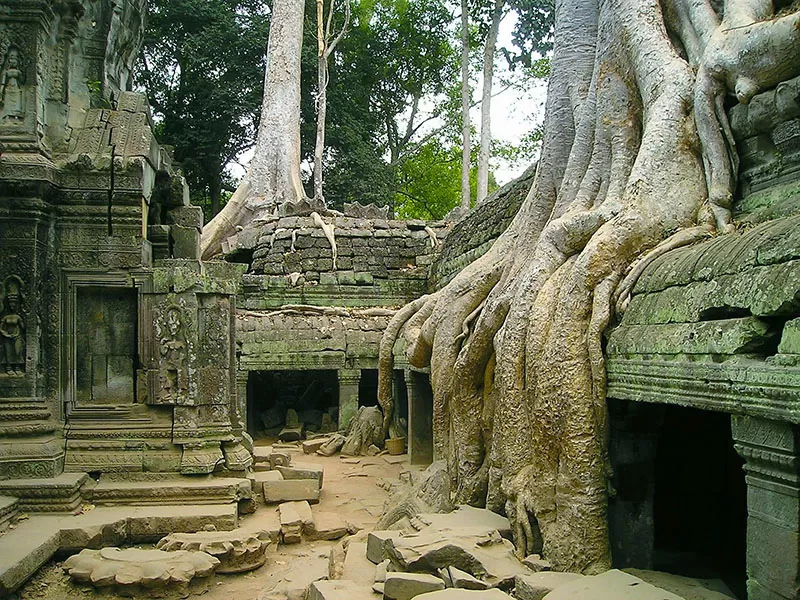 Photo of Cambodia By Triple K Angkor