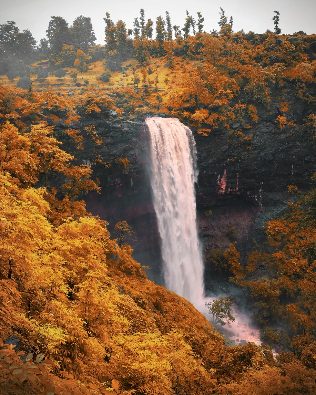Photo of Shankar Water Falls By Urvashi Galoth