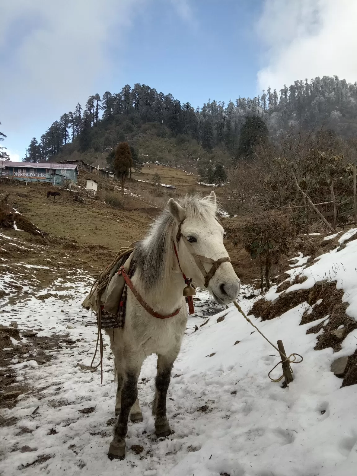 Photo of West Sikkim By Kunzang Rong