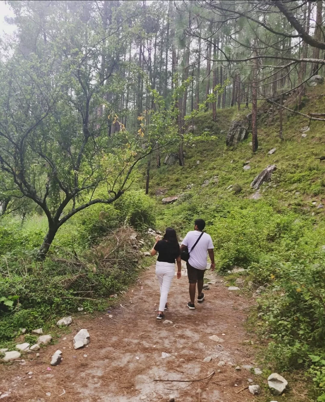 Photo of Chalal Trek Trail By Shivani Mishra