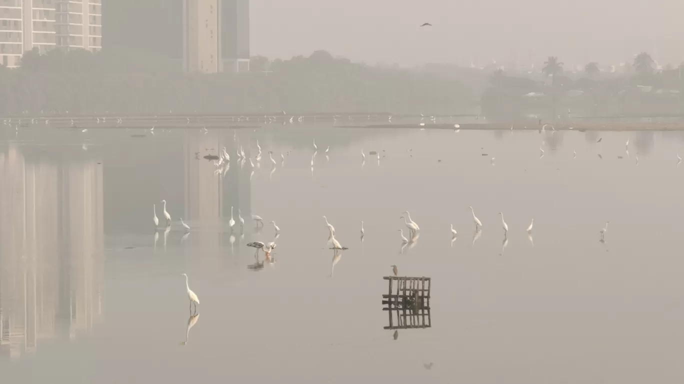 Photo of Besant Nagar By Sha Li Ni K