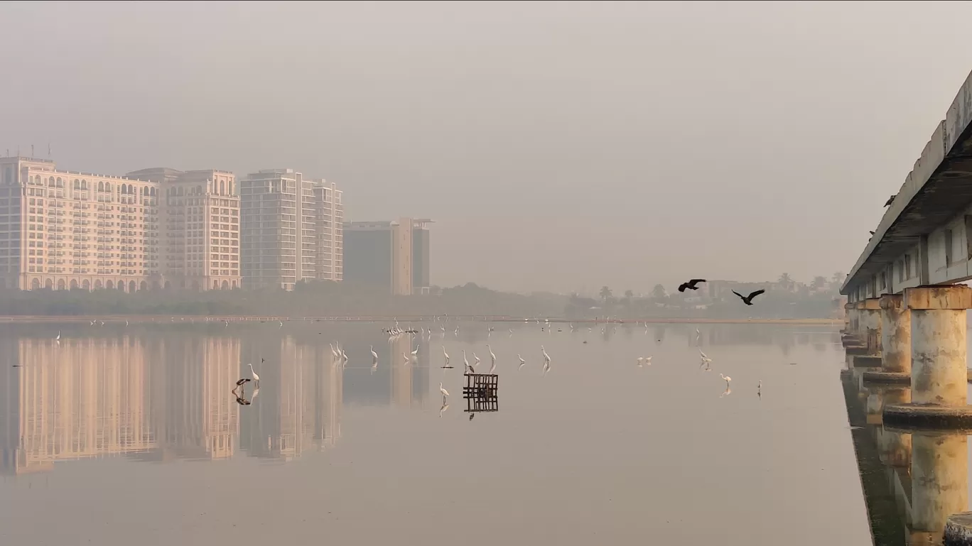 Photo of Besant Nagar By Sha Li Ni K