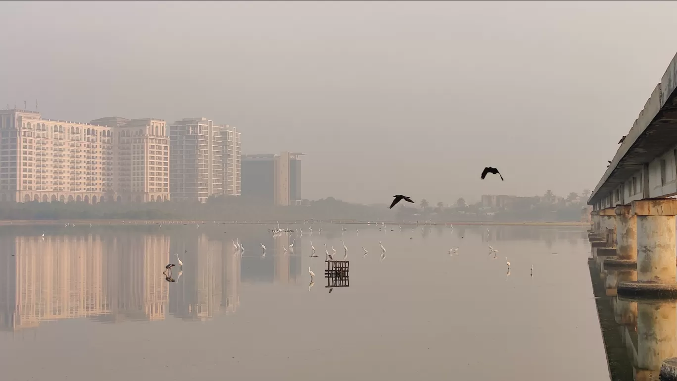 Photo of Besant Nagar By Sha Li Ni K