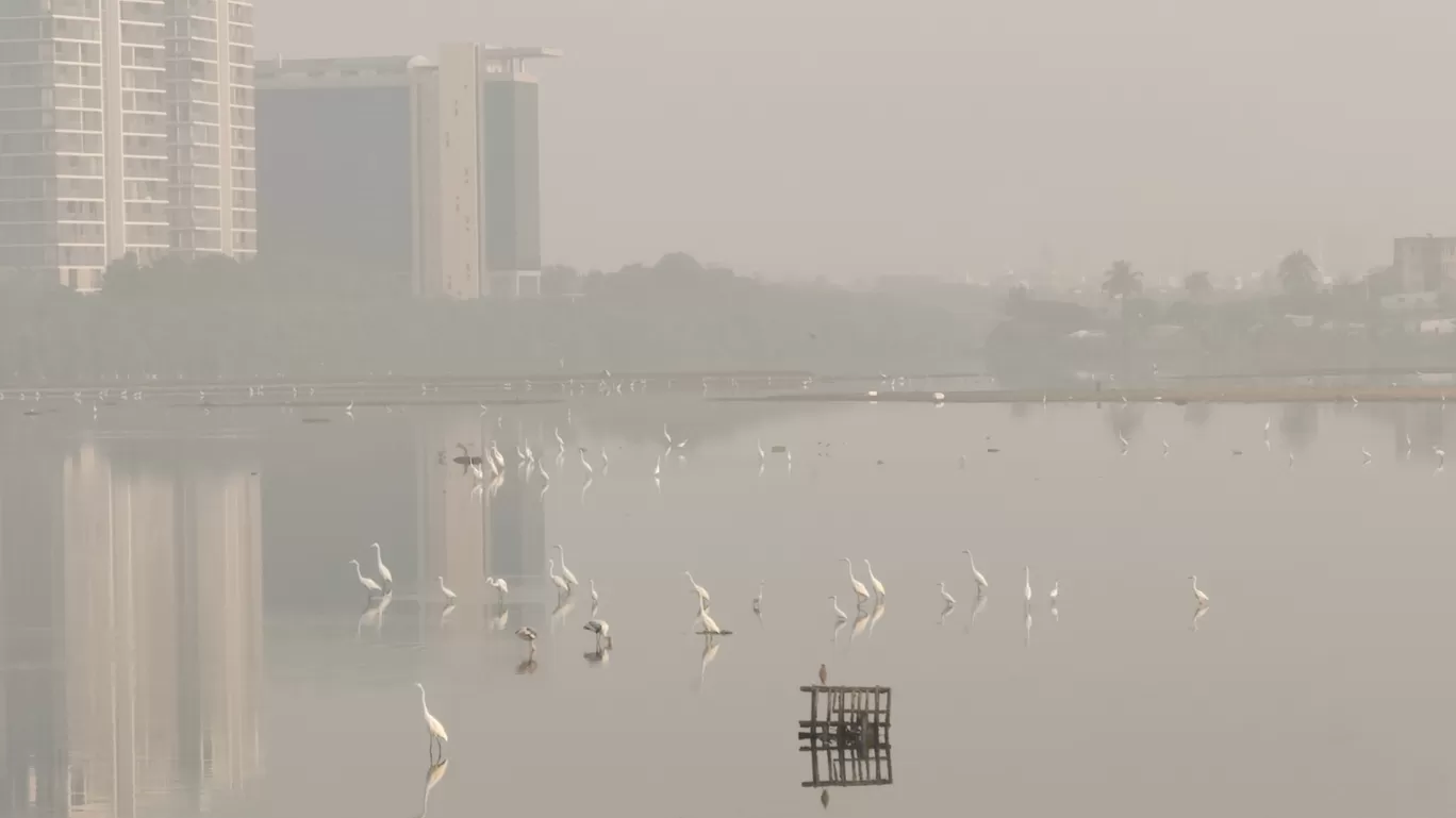 Photo of Besant Nagar By Sha Li Ni K