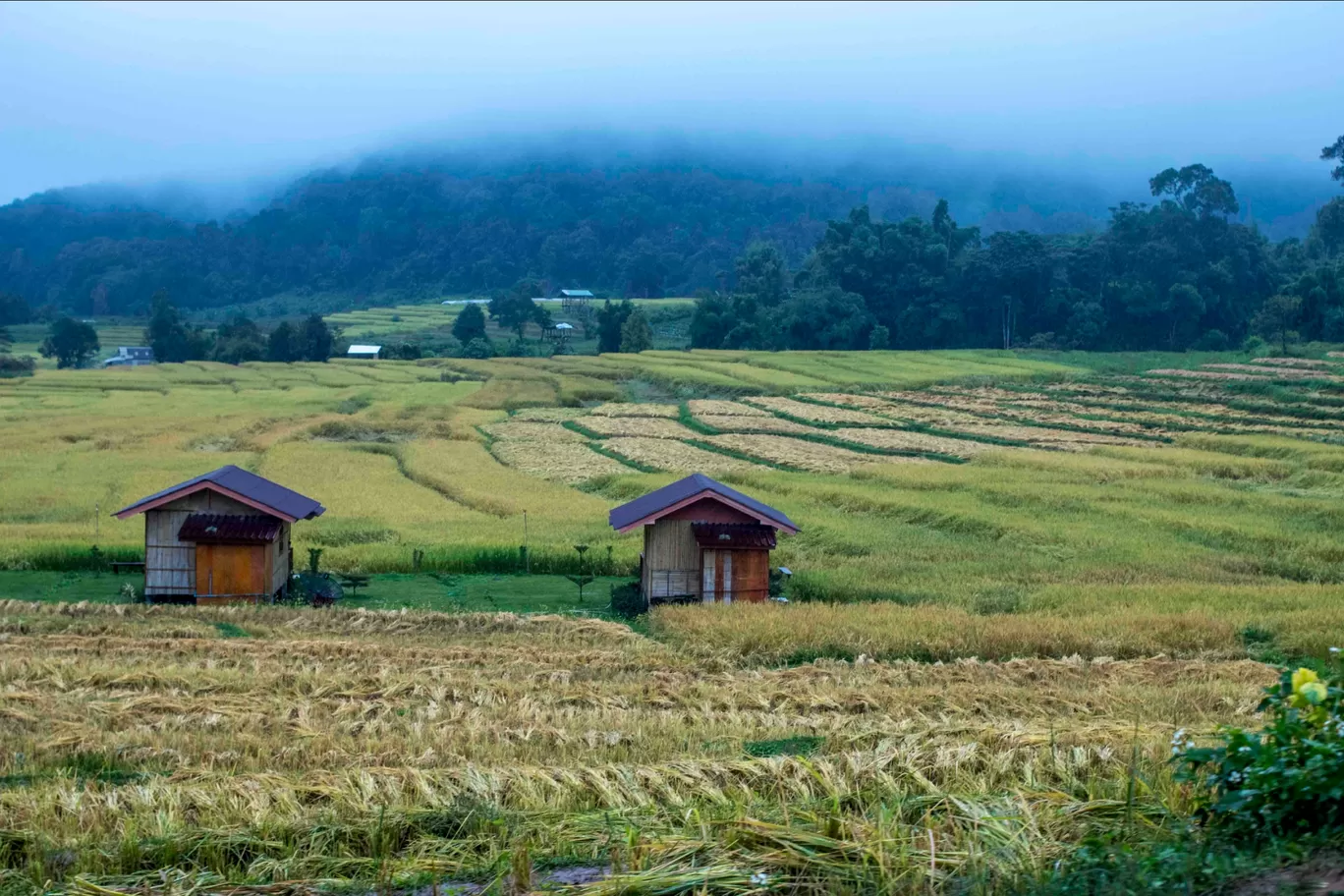 Photo of Mae Klang Luang By Aparna Sharma