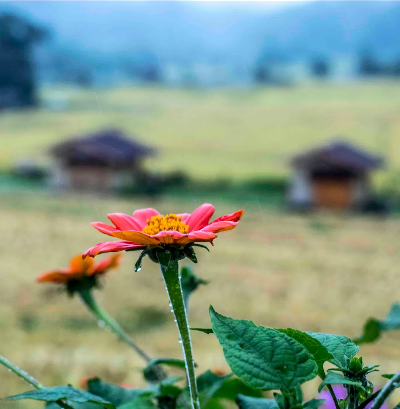 Photo of Mae Klang Luang By Aparna Sharma