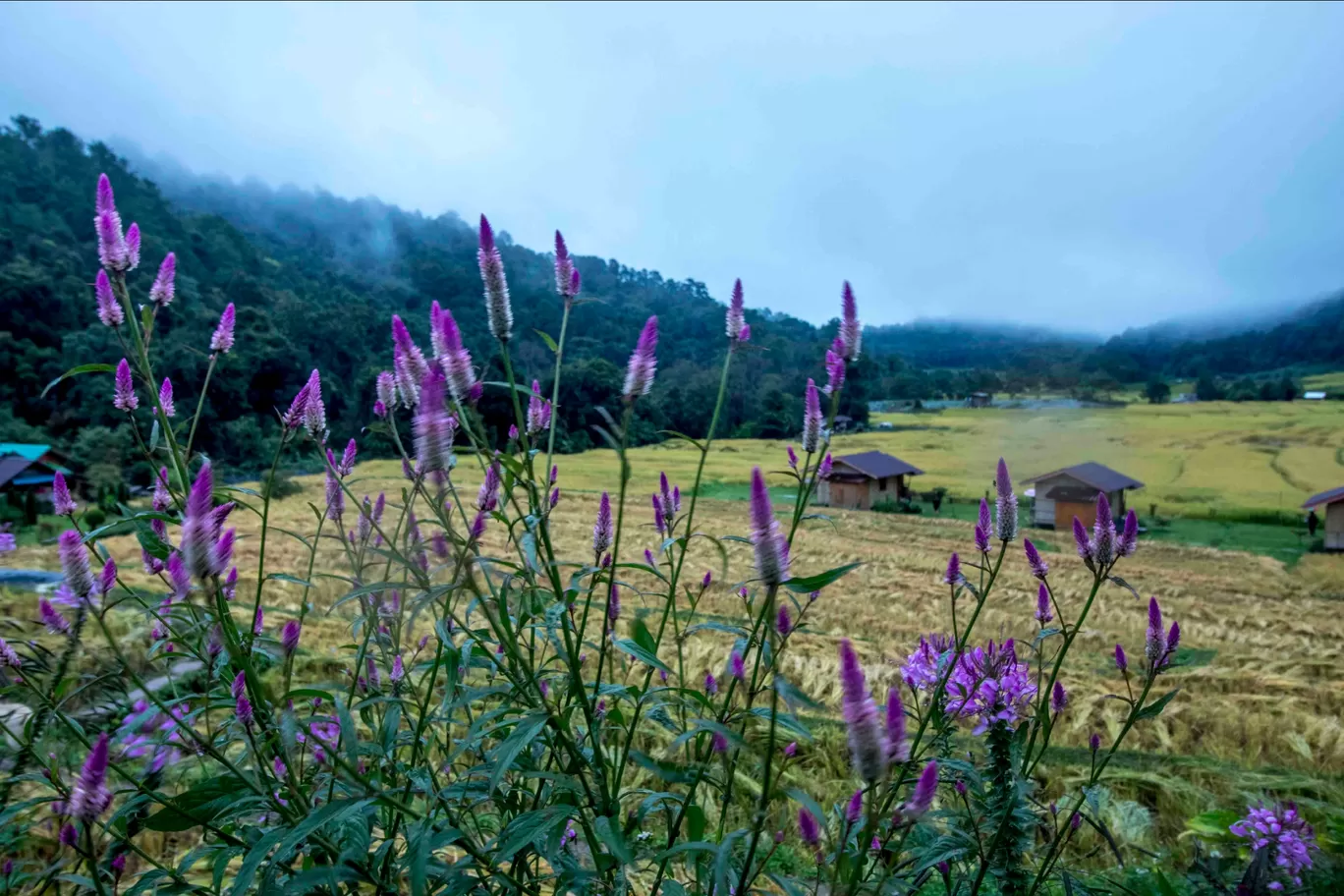 Photo of Mae Klang Luang By Aparna Sharma