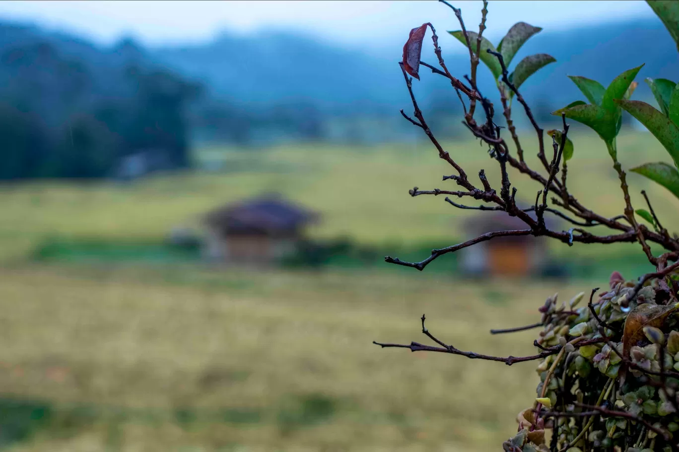 Photo of Mae Klang Luang By Aparna Sharma