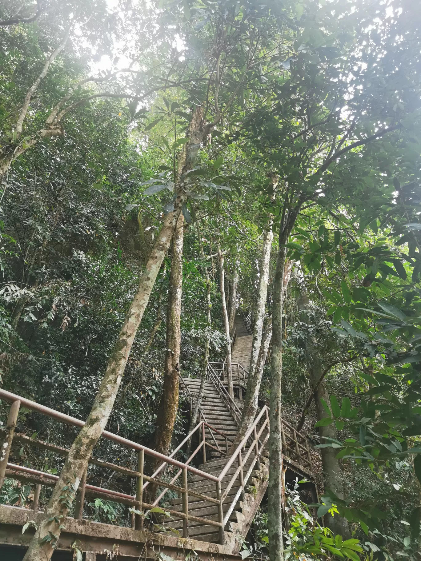 Photo of Khao Yai National Park By Aparna Sharma