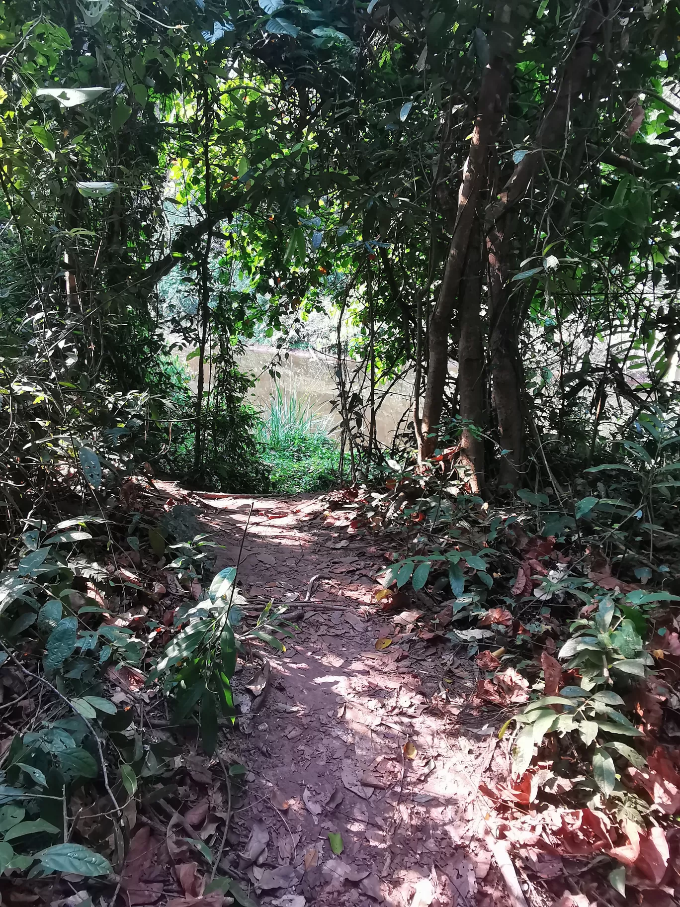 Photo of Khao Yai National Park By Aparna Sharma