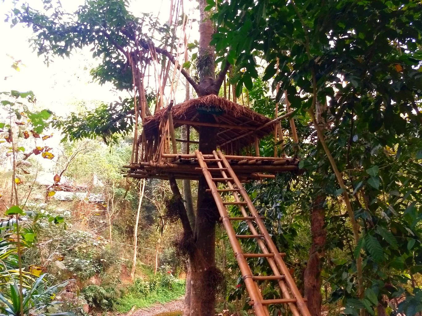 Photo of Northeast India By Hill Rovers