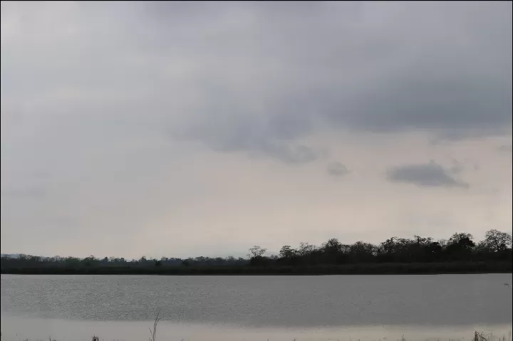 Photo of Kaziranga National Park By Rumki Sengupta