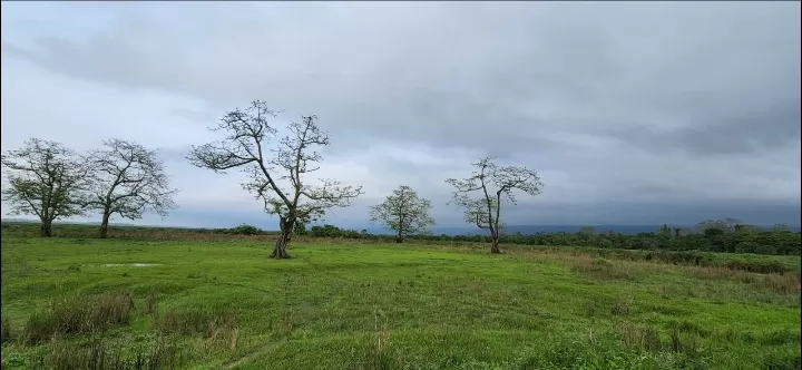 Photo of Kaziranga National Park By Rumki Sengupta