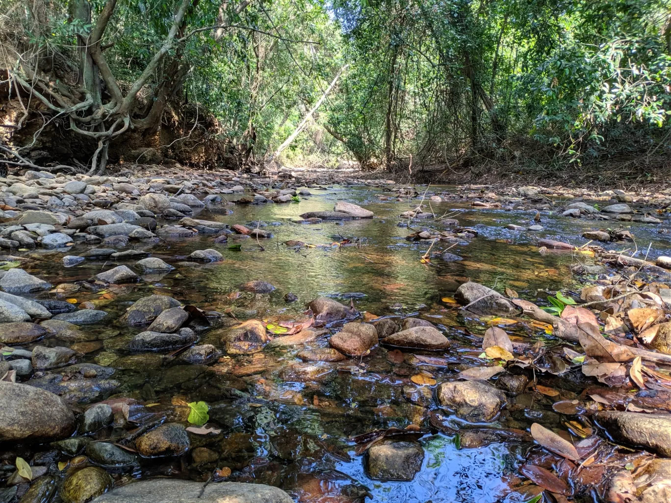 Photo of Western Ghats By Krutik Patel