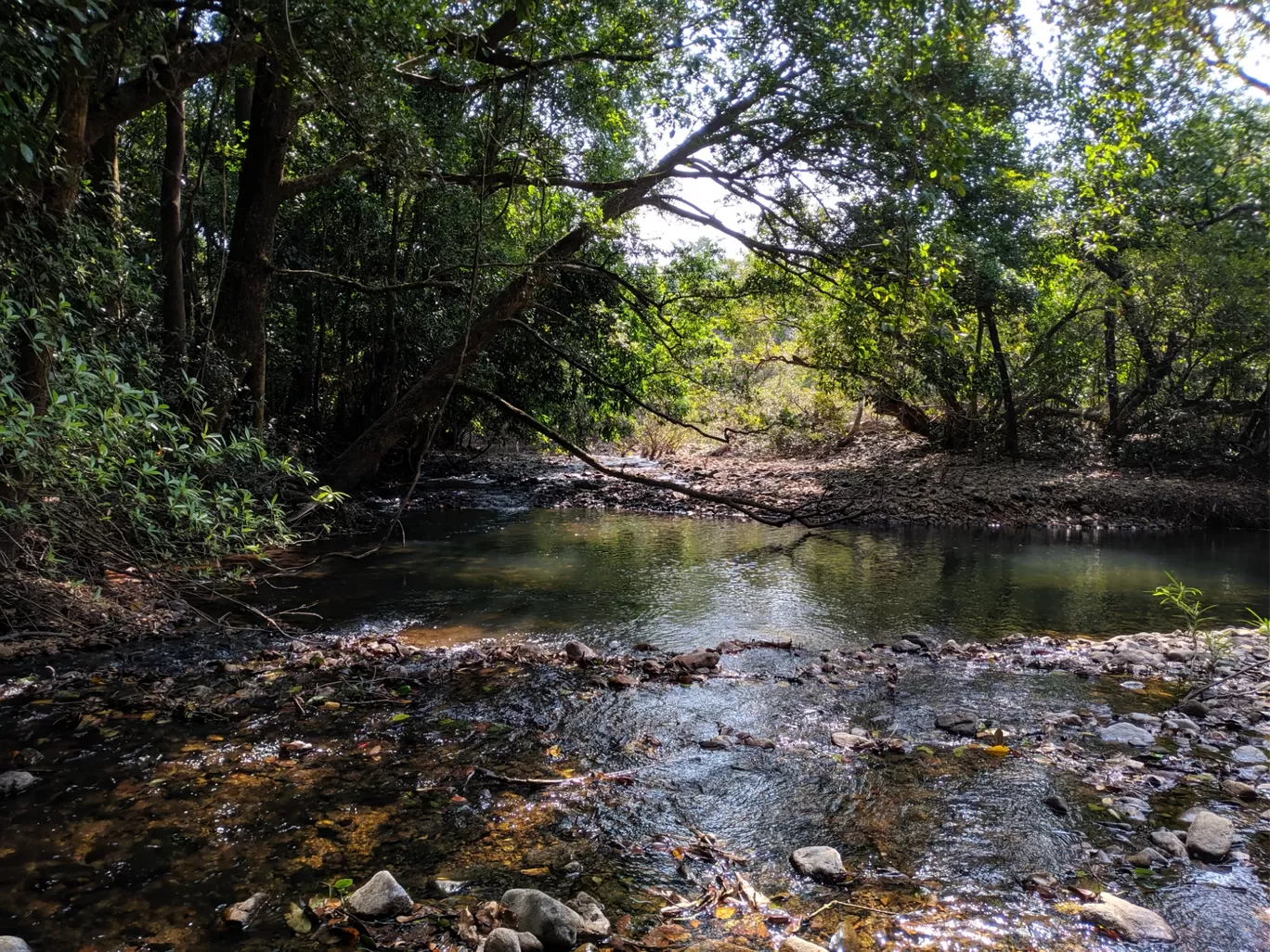 Photo of Western Ghats By Krutik Patel