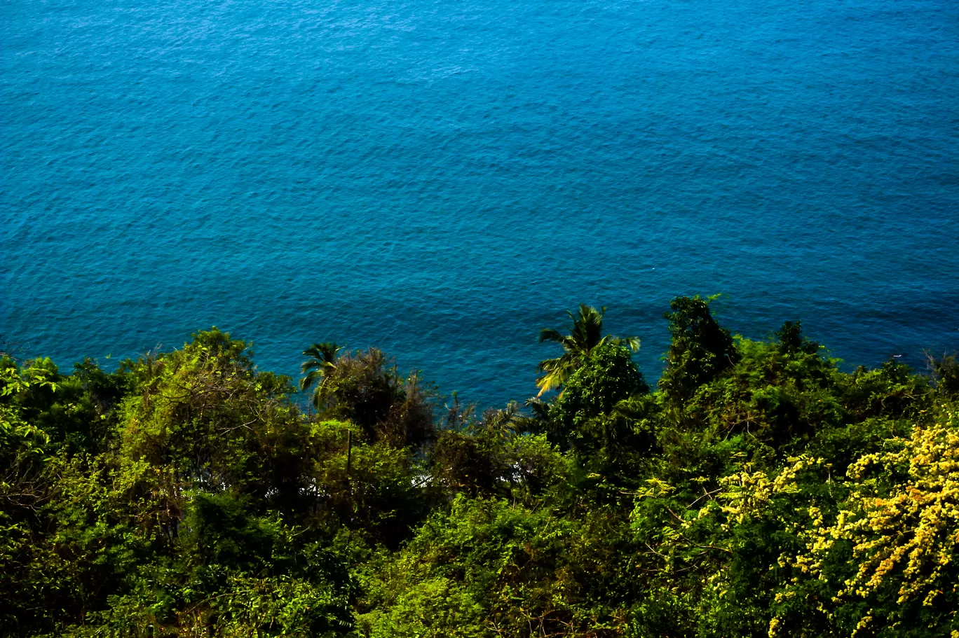 Photo of Fort Aguada Road By Light Rays Photography
