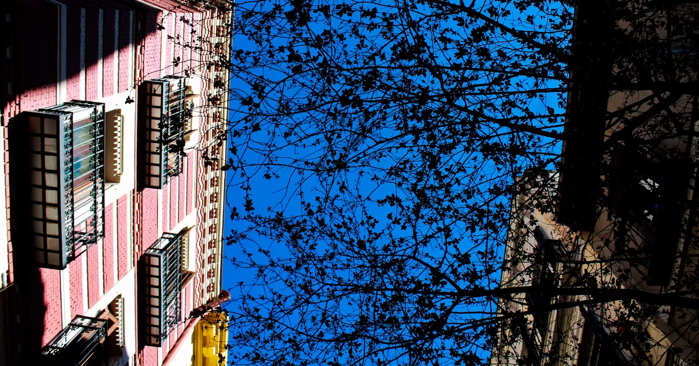 Photo of Madrid By Tiago Sangu