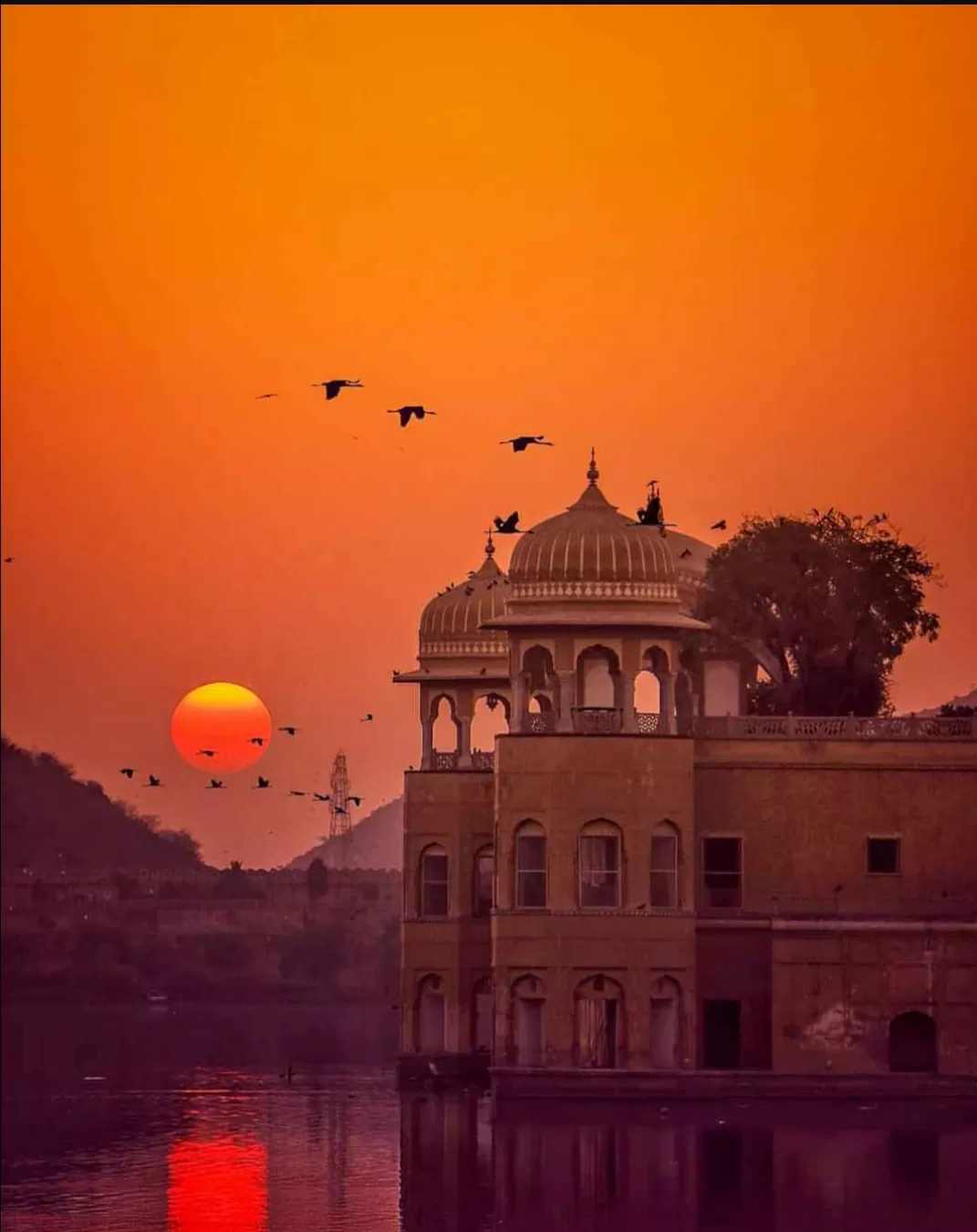 Photo of Jaipur By Smita Yadav