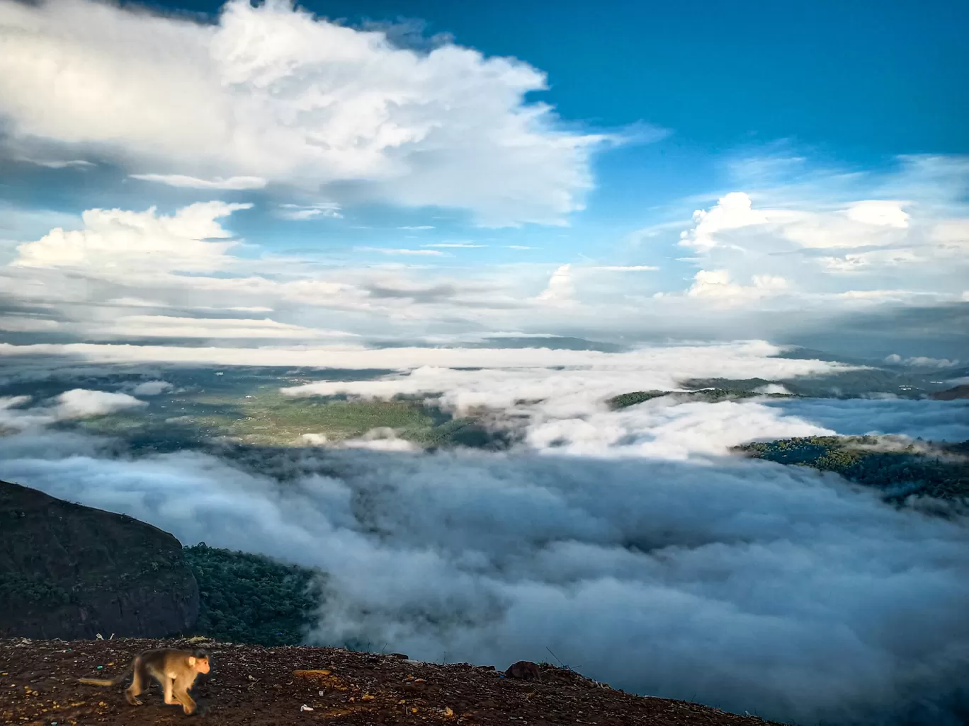 Photo of Lonavala Lake By Shamal Purail