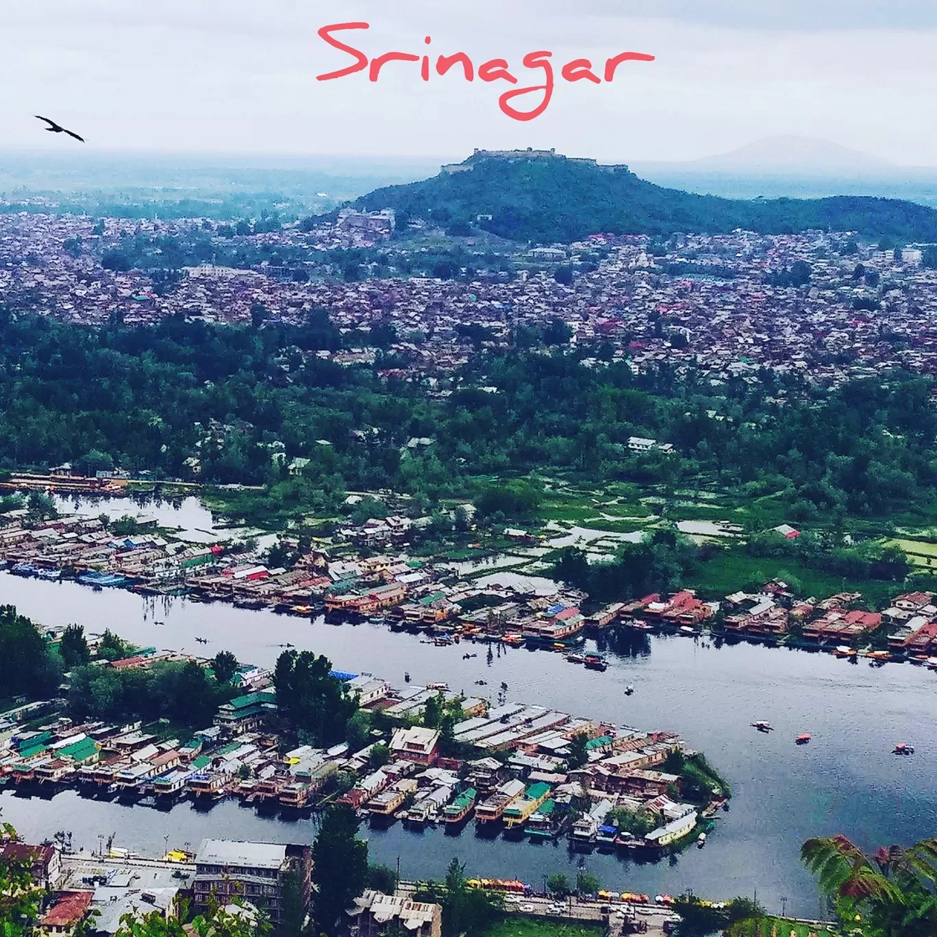 Photo of Srinagar Kashmir By Vikas Garg