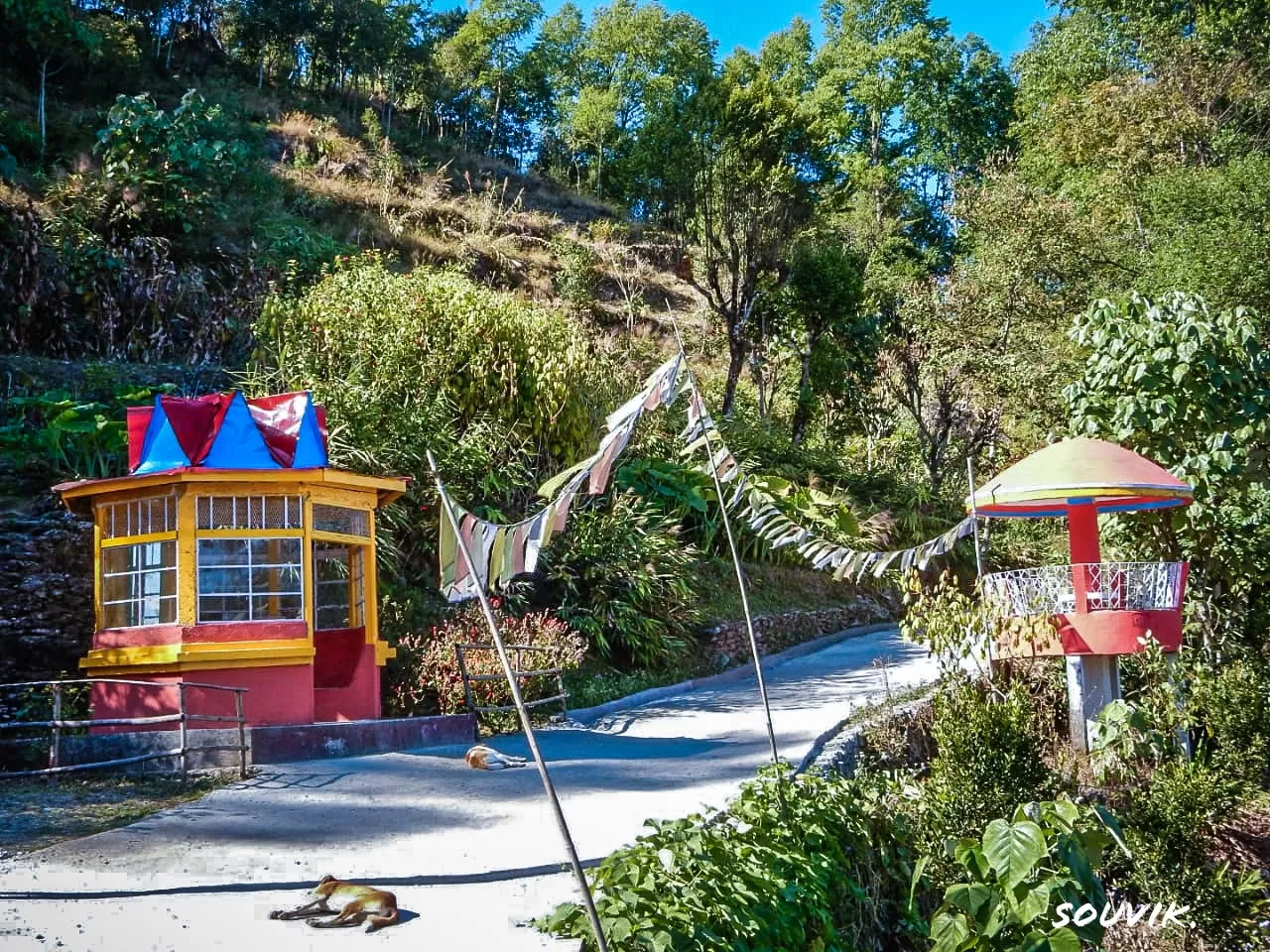 Photo of Tinchuley Lopchu Road By Souvik Ghosh